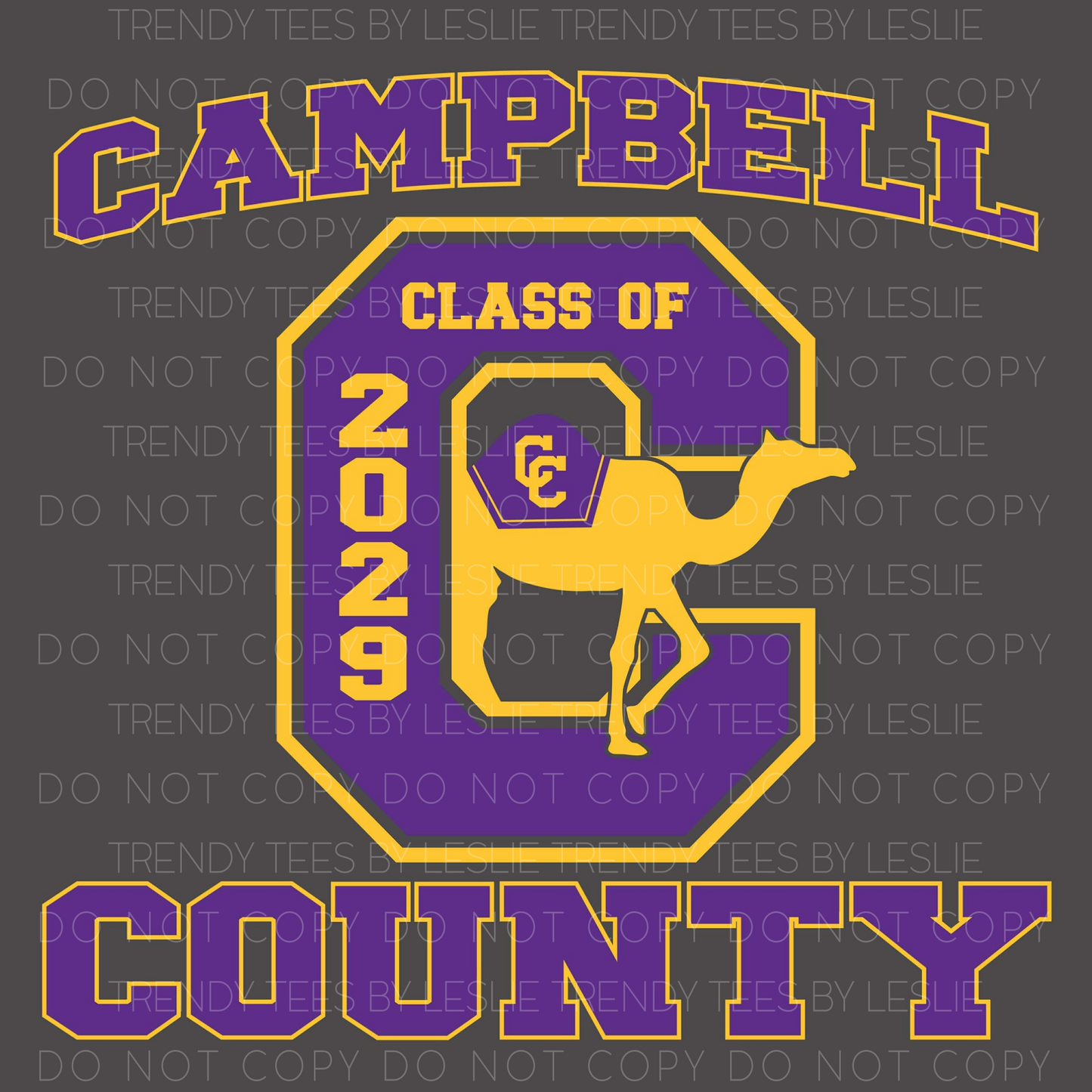 CCMS Class of 2029