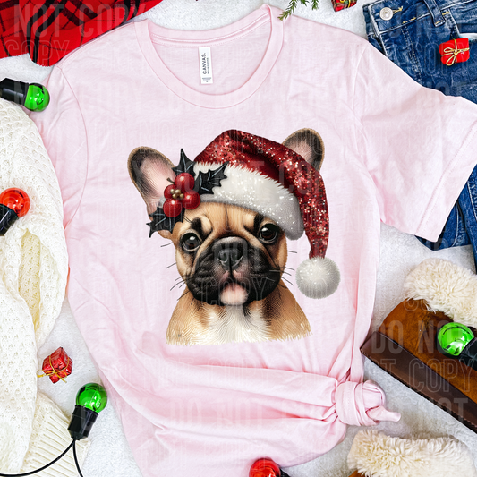 Christmas Tan Frenchie