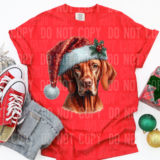 Christmas Vizsla