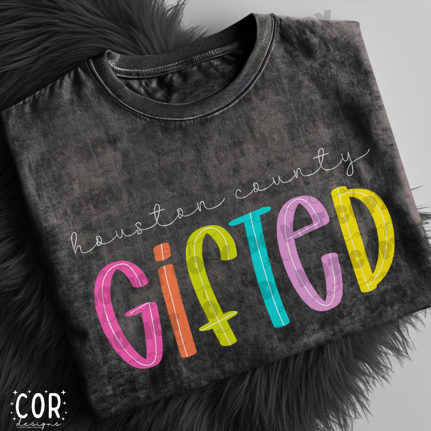 Houston County Gifted