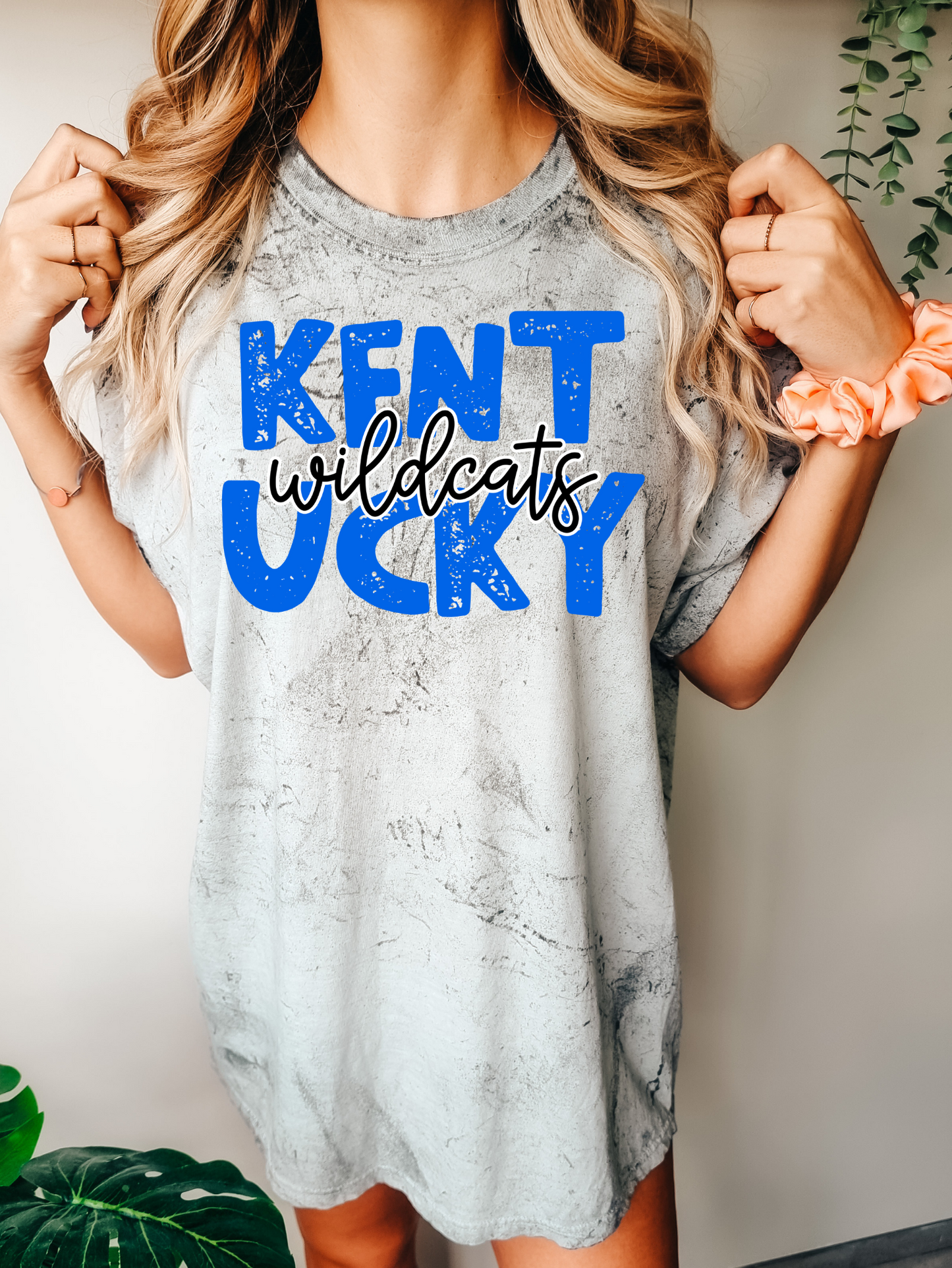 Kentucky Wildcats