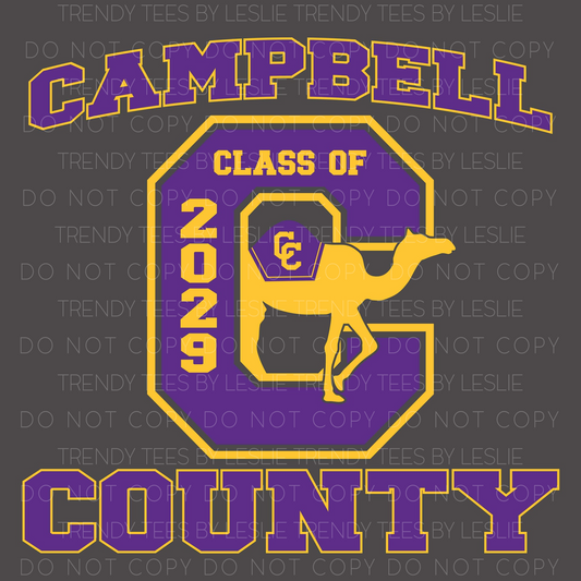 CCMS Class of 2029
