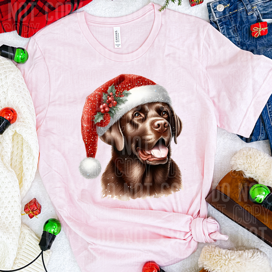 Christmas Chocolate Lab