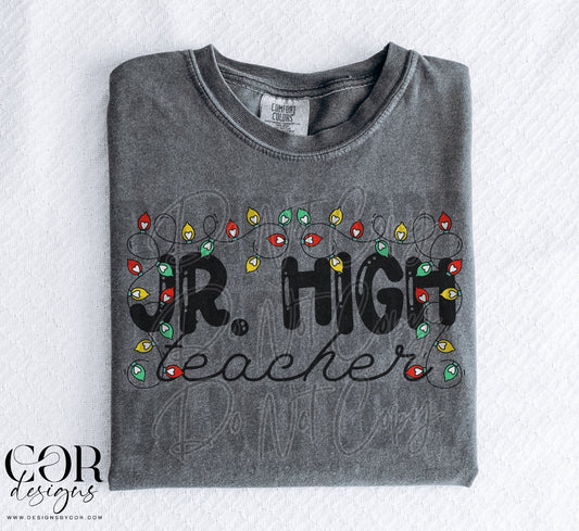 Jr. High Teacher (Christmas lights)