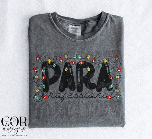 Para Professional (Christmas lights)