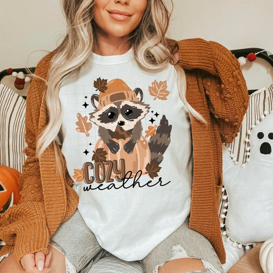 Cozy Weather Raccoon