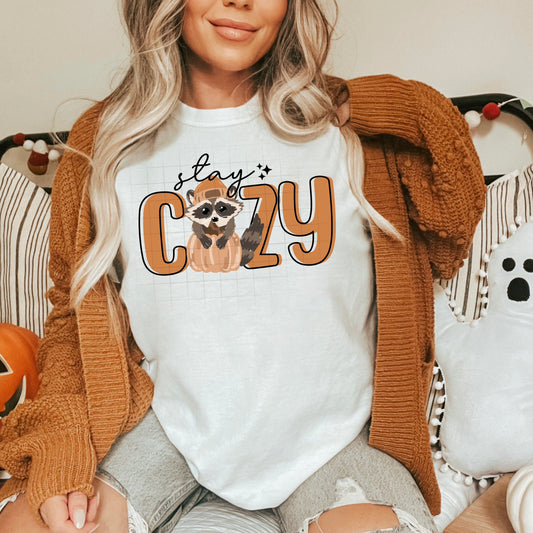 Stay Cozy Raccoon