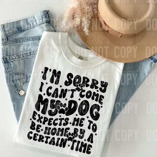 I'm sorry I can't come my dog expects me to be home by a certain time (black)