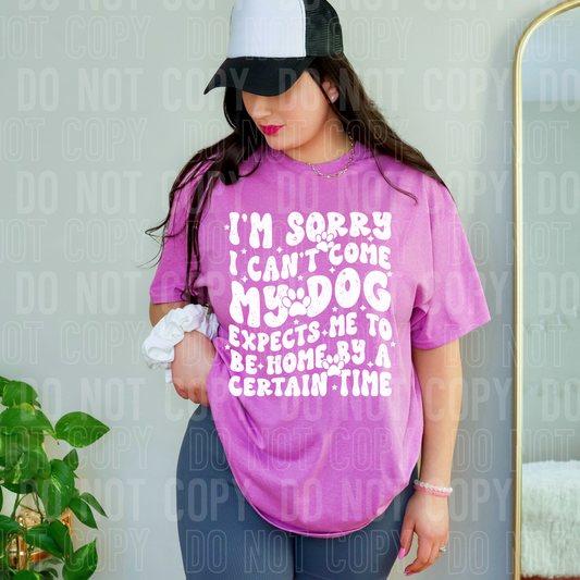 I'm sorry I can't come my dog expects me to be home by a certain time (white)