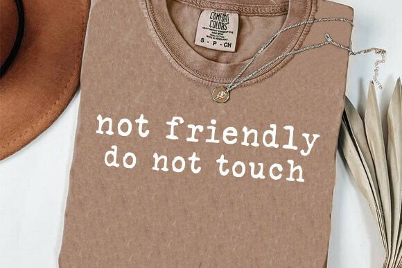 Not Friendly Do Not Touch DTF Transfer