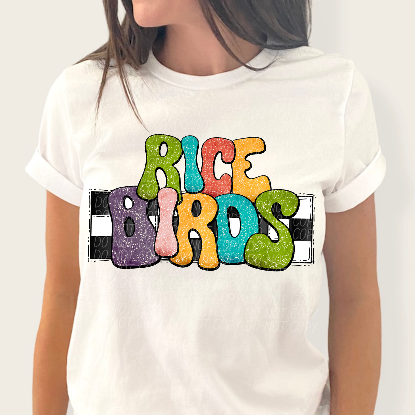 Rice Birds (retro rainbow)