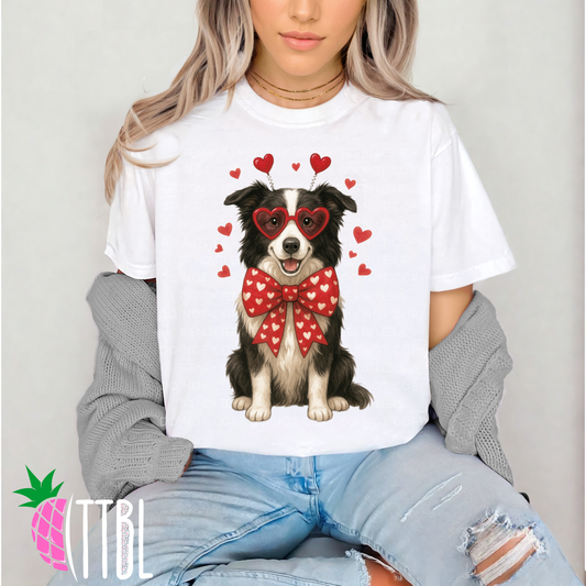Valentine Border Collie Dog DTF Transfer