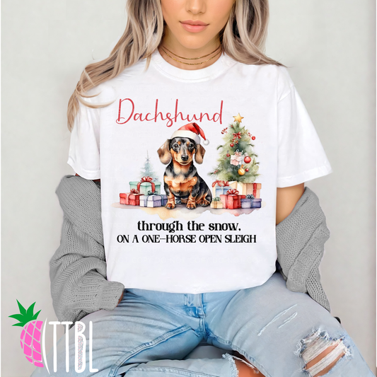 Dachshund through the snow