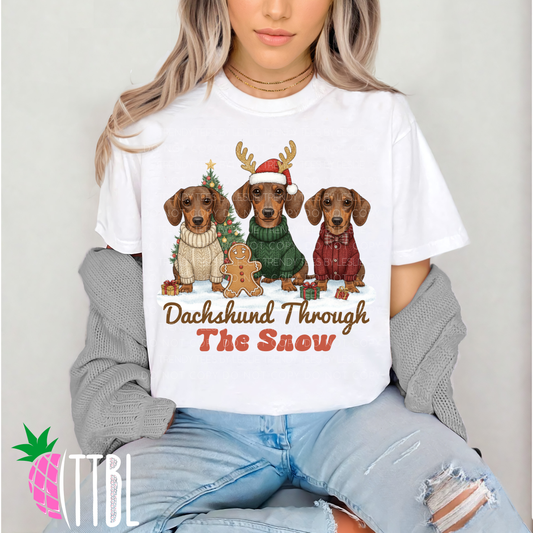 Dachshund through the snow