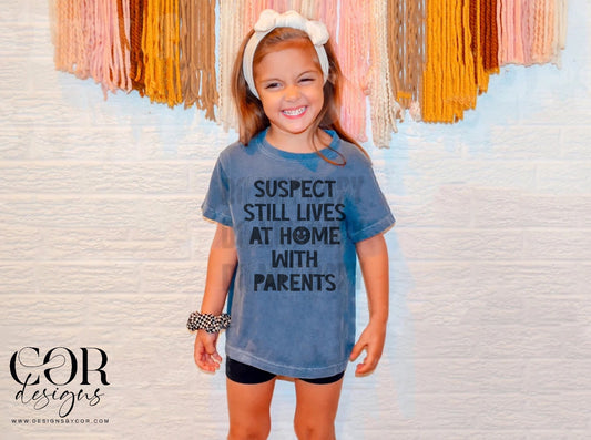 Suspect still lives at home with parents